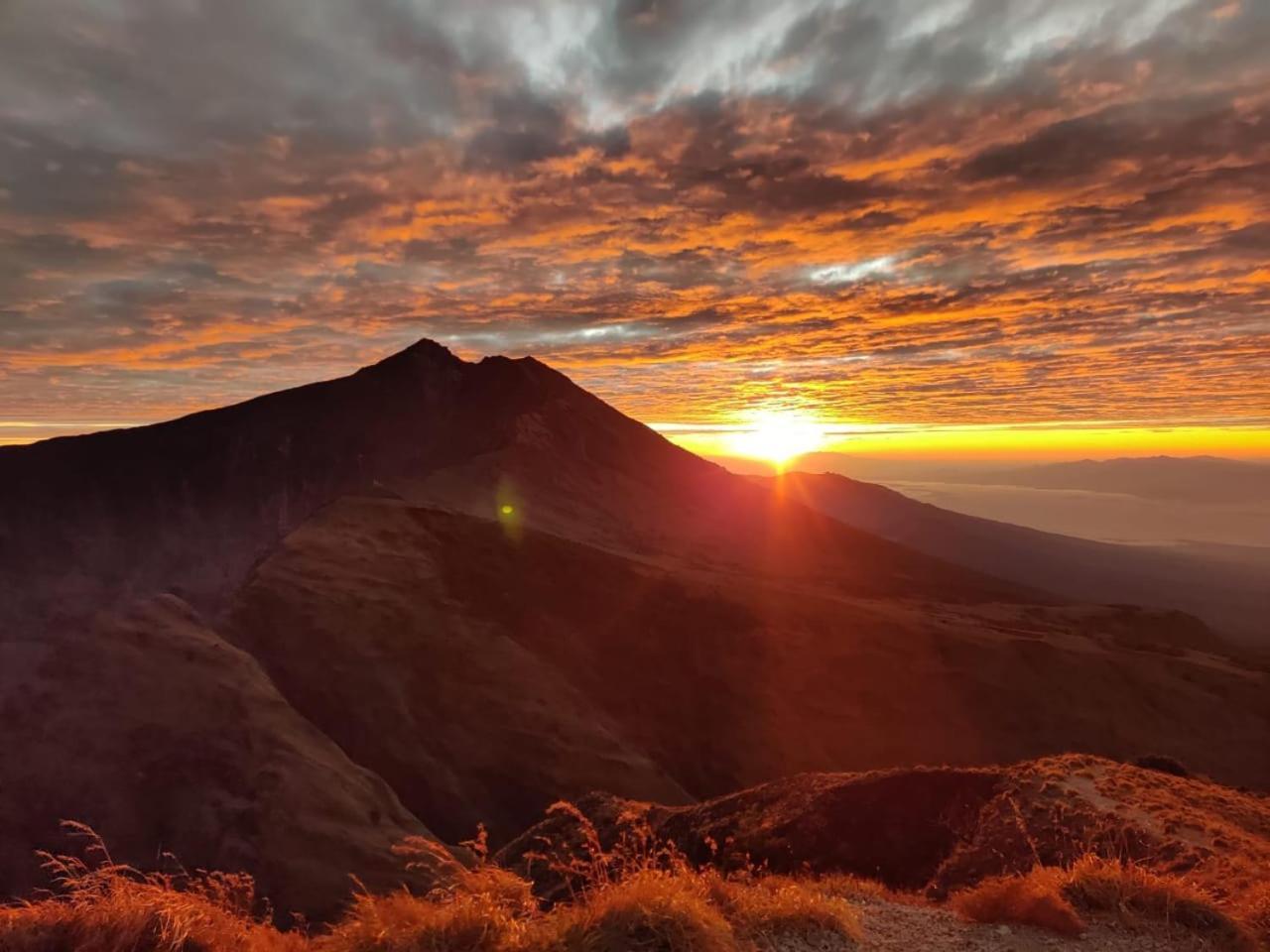 Vanilla Garden Tetebatu Dış mekan fotoğraf