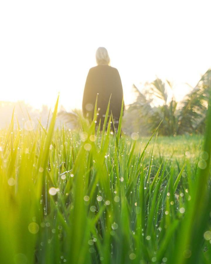Vanilla Garden Tetebatu Dış mekan fotoğraf
