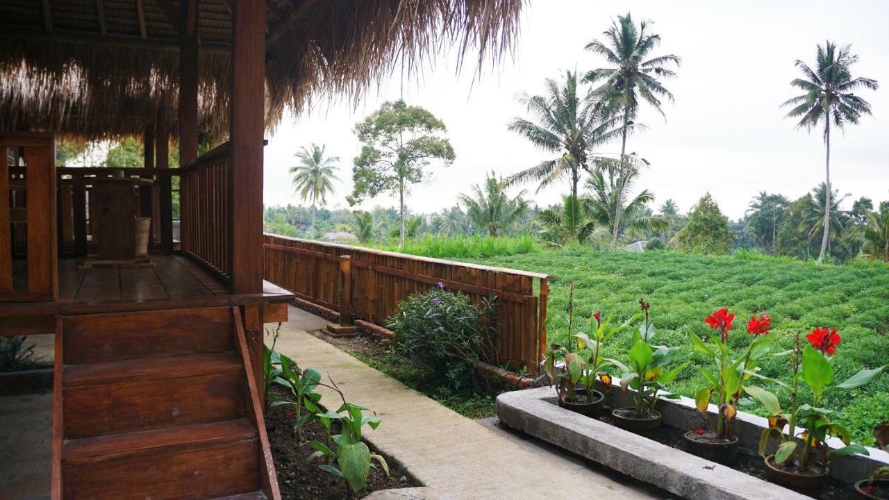 Vanilla Garden Tetebatu Dış mekan fotoğraf